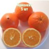 Саженцы Апельсина Навелина - 5 шт.: фото и описание
